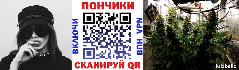 Купить где  Ленинградская  Каннабис план 